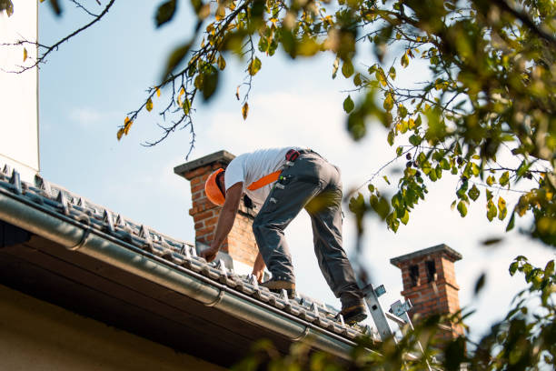 Professional Roofing Contractor in Madison, MN