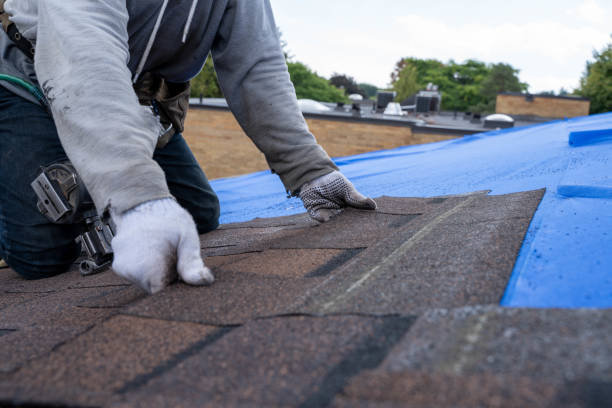 Best Residential Roofing Contractor  in Madison, MN