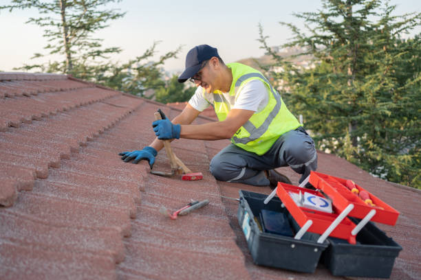 Best Storm Damage Roof Repair  in Madison, MN