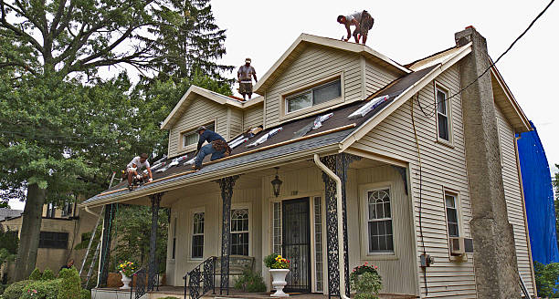 Best Slate Roofing Contractor  in Madison, MN