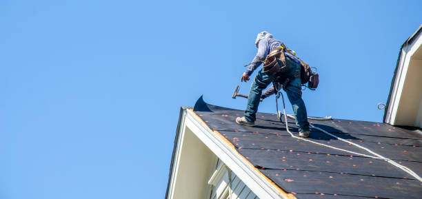 Best Commercial Roofing Services  in Madison, MN