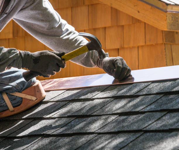 Best Roof Gutter Cleaning  in Madison, MN